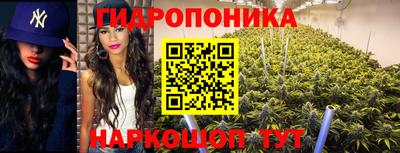 прущие крисы Будённовск
