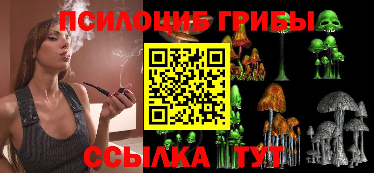 Нижний Новгород  Псилоцибиновые грибы ЛСД  Вход с VPN 